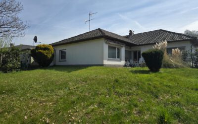 Idyllischer Bungalow in Bad Pyrmont / Thal – Oase auf großem Grundstück