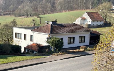 Großzügiges Zweifamilienhaus in charmanter Lage zwischen Feld und Waldrand in Schieder-Glashütte